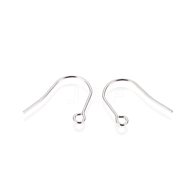 Tarnish Resistant 316 Surgical Stainless Steel Earring Hooks X-STAS-F216-03P-B-1
