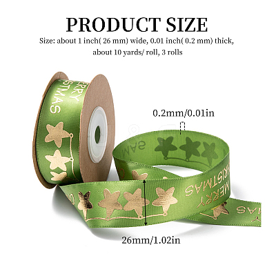 Polyester Ribbon SRIB-P018-B01-1