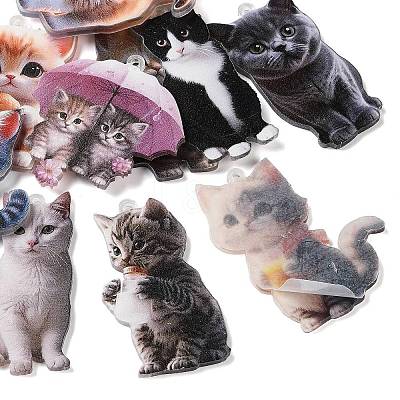 Printed Acrylic Pendants AC-CBADB2B-14-1