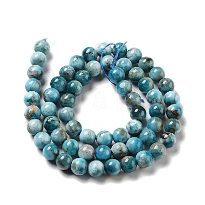 Natural Apatite Beads Strands G-G858-01A-1