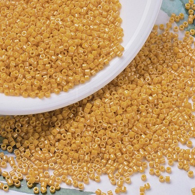 MIYUKI Delica Beads X-SEED-J020-DB0651-1