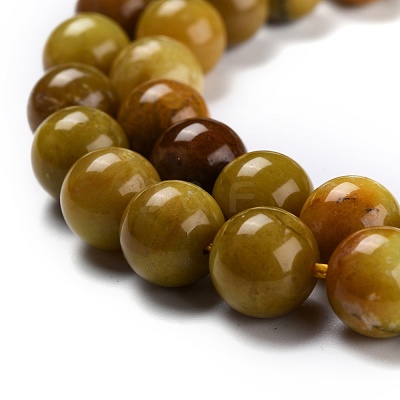 Natural Yellow Opal Beads G-P446-02C-1