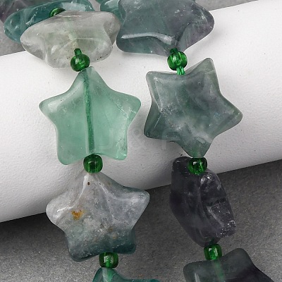 Natural Fluorite Beads Strands G-K359-E14-1