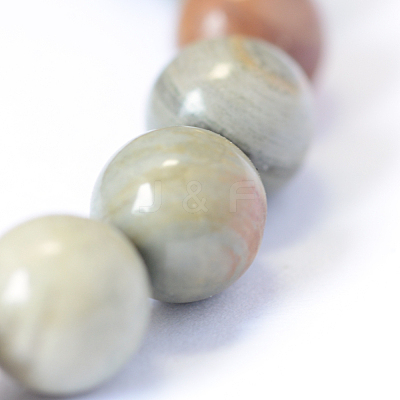 Natural Silver Leaf Jasper Round Bead Strands X-G-E334-6mm-04-1