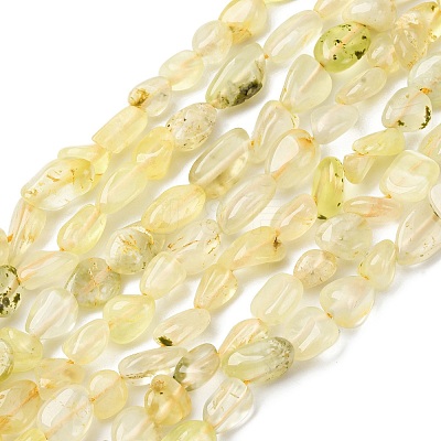 Natural Gold Prehnite Beads Strands G-K395-A07-01-1
