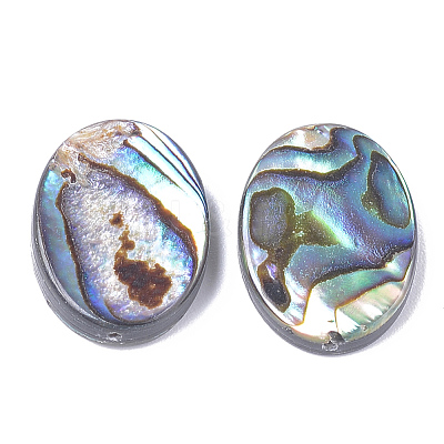 Abalone Shell/Paua Shell Beads SSHEL-T008-14-1