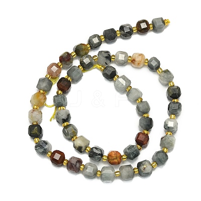 Natura Eagle Eye Stone Beads Strands G-I376-D49-01-1