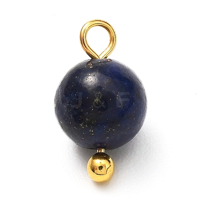 Natural Mixed Gemstone Charms X-PALLOY-JF00992-01-1