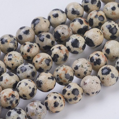 Natural Dalmation Jasper Beads Strands G-G515-6mm-06-1