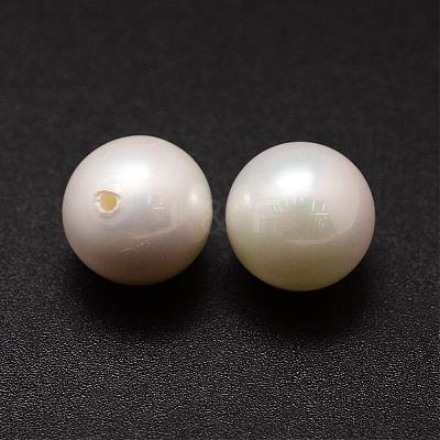 Shell Pearl Beads BSHE-L031-01-12mm-1