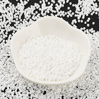 Opaque Colours Glass Seed Beads X-SEED-S042-09B-03-1