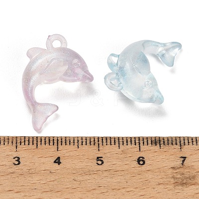 Luminous Translucent Acrylic Pendants AC-CBA5040-07-1