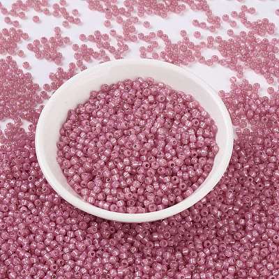 MIYUKI Round Rocailles Beads SEED-X0055-RR0556-1