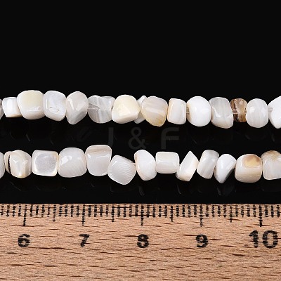 Natural Freshwater Shell Beads Strands SHEL-N037-04K-1