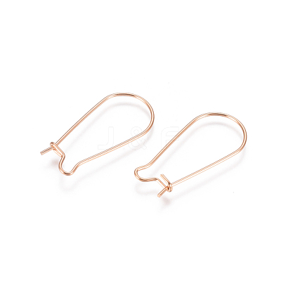 304 Stainless Steel Hoop Earring Findings STAS-E484-66B-RG-1