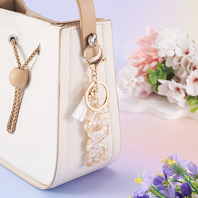 Alloy & Resin Tassel Keychainss AJEW-TADJ0001-20G-03-1