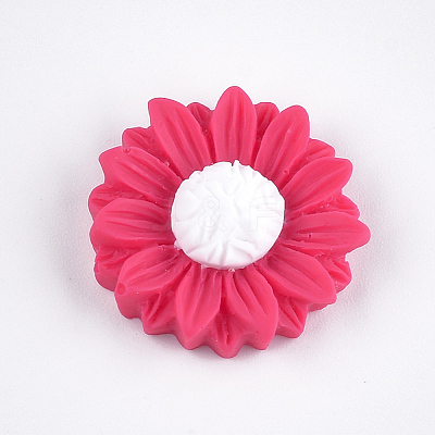 Resin Cabochons CRES-T010-59C-1