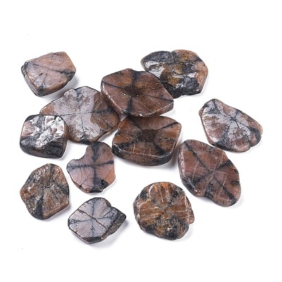 Natural Chiastolite Cabochons G-L515-08-1
