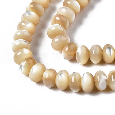 Natural Trochid Shell/Trochus Shell Beads Strands SSHEL-S266-017B-1