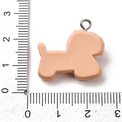 Opaque Resin Pendants LS-RE-CBA5B90-04D-1