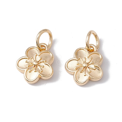 Rack Plating Alloy Charms FIND-G036-02LG-1