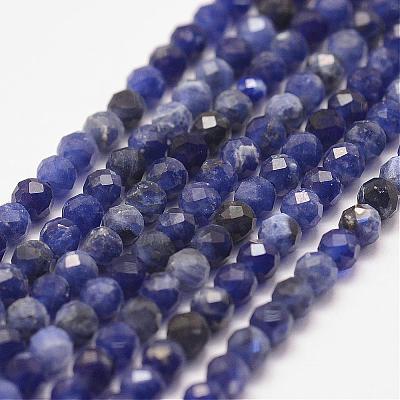 Natural Sodalite Bead Strands G-P279-58-3mm-1