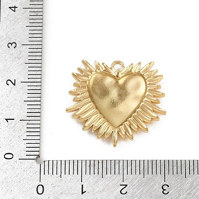 304 Stainless Steel Pendants STAS-P390-02A-G-1