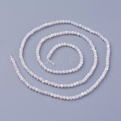 Shell Beads Strands SSHEL-E571-38-2mm-1