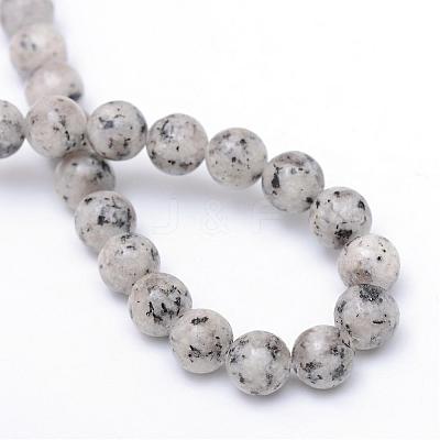 Natural Sesame Jasper/Kiwi Jasper Bead Strands G-R345-10mm-11-1