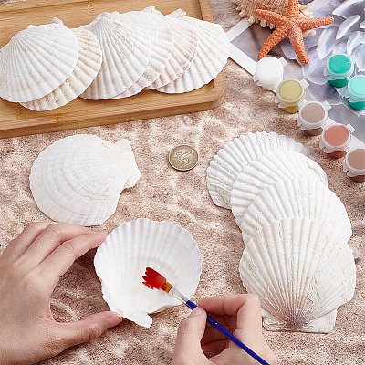 60Pcs Natural Shell Jewelry Decorative Plate AJEW-GA0009-64C-1
