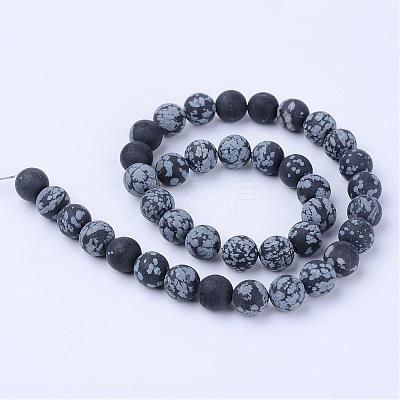 Natural Snowflake Obsidian Beads Strands G-Q462-10mm-10-1