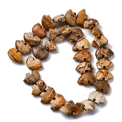 Natural Picture Jasper Beads Strands G-F783-G03-01-1