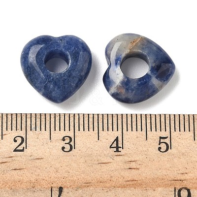 Natural Sodalite European Beads G-C252-01I-1