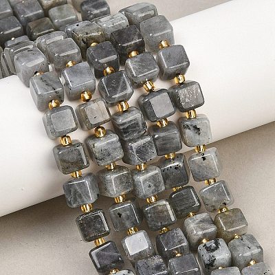 Natural Labradorite Beads Strands G-F832-A09-01-1