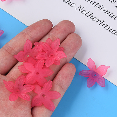 Transparent Acrylic Beads MACR-S373-127-D01-1