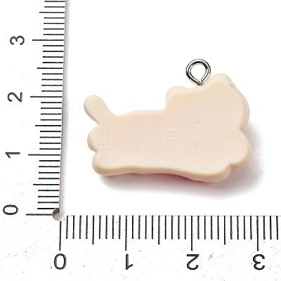 Opaque Resin Pendants RE-CBA5B90-04C-1