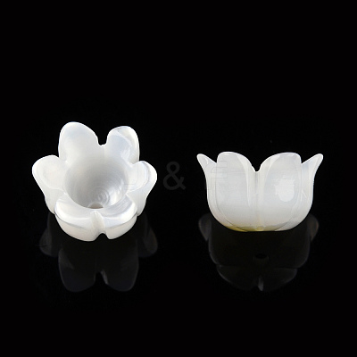 Natural White Shell Bead Caps SSHEL-N032-58A-1