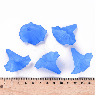 Transparent Acrylic Beads BSF796-C05-1
