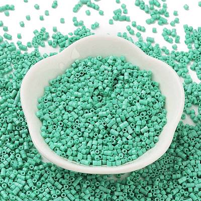 Baking Paint Glass Seed Beads SEED-S042-05B-60-1