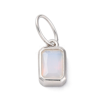 925 Sterling Silver Cubic Zirconia Charms STER-NH0014-01P-06-1