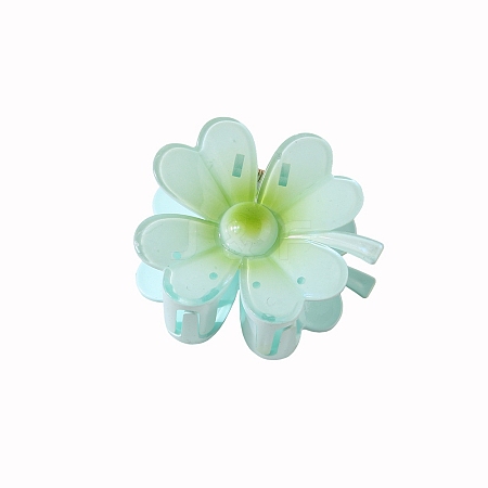 Resin Claw Hair Clips PW-WG87363-11-1