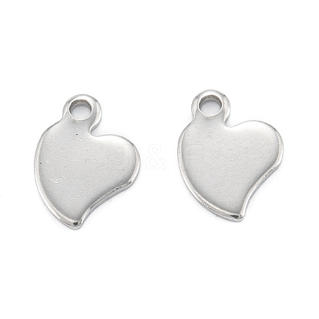 Non-Tarnish 304 Stainless Steel Charms STAS-K218-02P-1