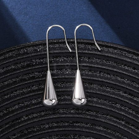 304 Stainless Steel Dangle Earrings EJEW-NH0004-01P-1