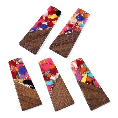 Opaque Resin & Walnut Wood Pendants RESI-T058-04H-1
