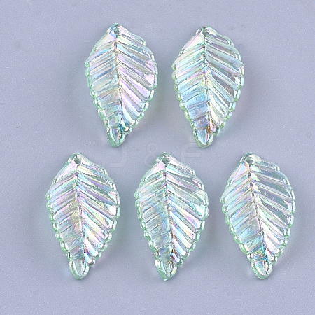 Transparent Acrylic Pendants TACR-T007-03B-1