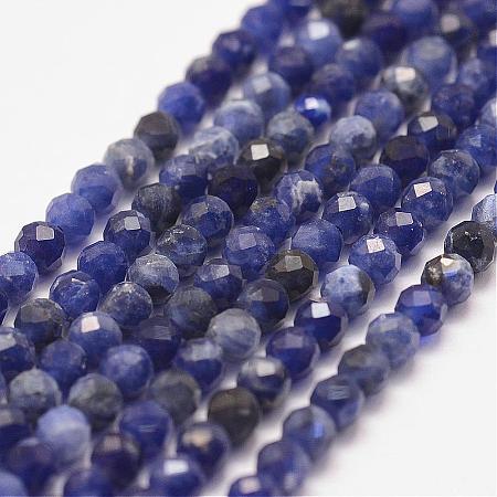 Natural Sodalite Bead Strands G-P279-58-3mm-1