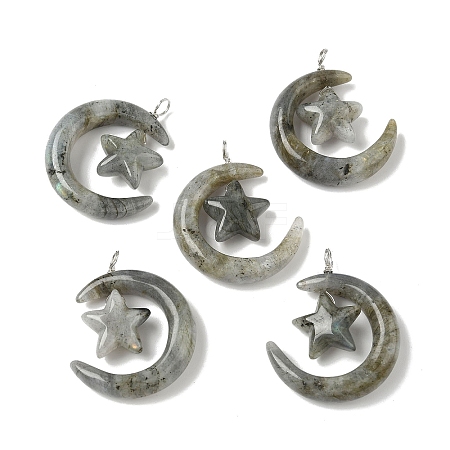 Natural Labradorite Pendants G-Z086-01P-14-1
