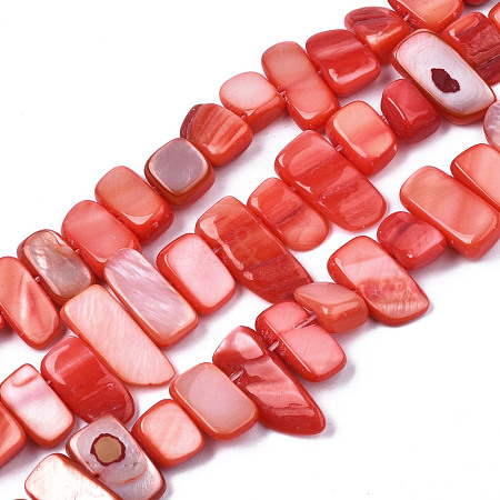 Natural Trochid Shell/Trochus Shell Beads Strands SHEL-S258-082-B06-1