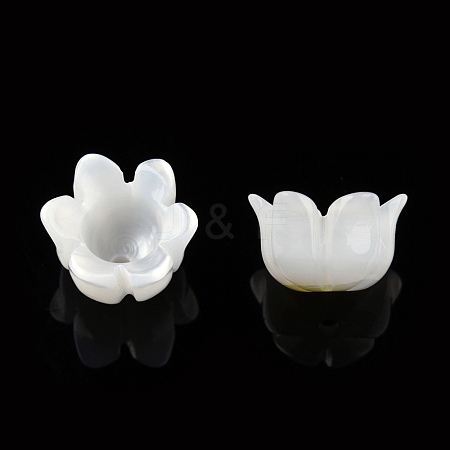 Natural White Shell Bead Caps SSHEL-N032-58A-1