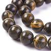 Natural Coffee Jasper Beads Strands G-L501-05A-2